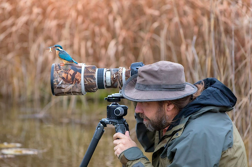 wildlife photography companies