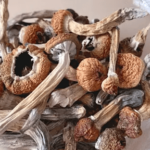 Top Tips for Safely Purchasing Magic Mushrooms Online